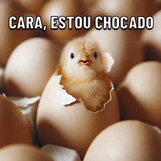 Figurinha: Pintinho chocado