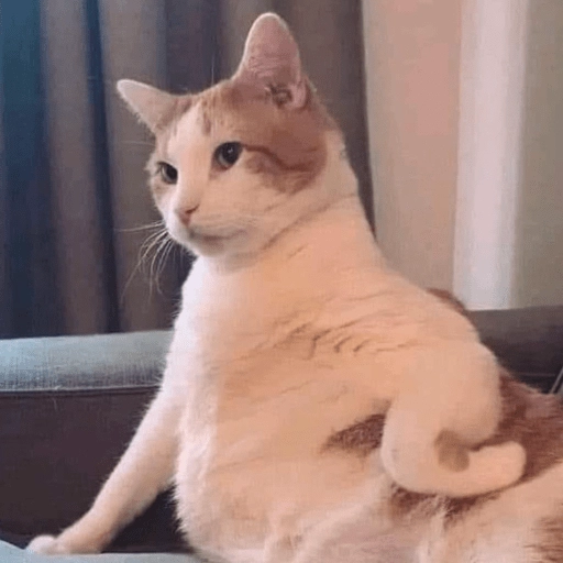 Figurinha: Gato pensativo