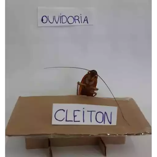Figurinha: Barata Cleiton na Ouvidoria