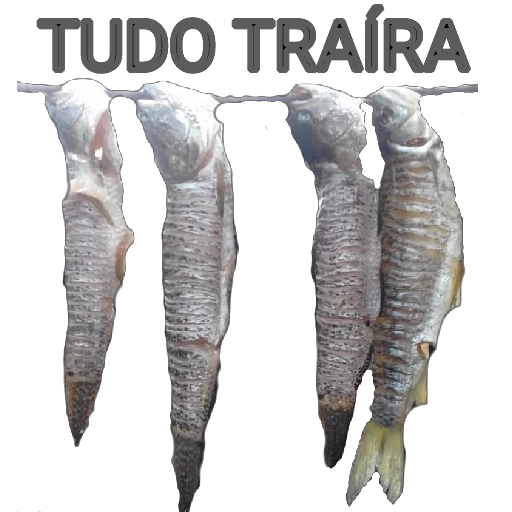Figurinha: Tudo Traíra
