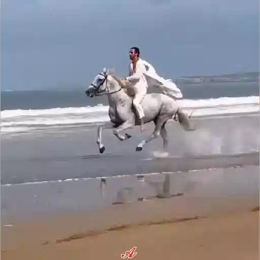 Figurinha: Homem a cavalo na praia