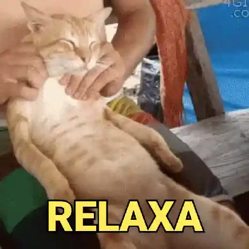 Figurinha: Gato Relaxando
