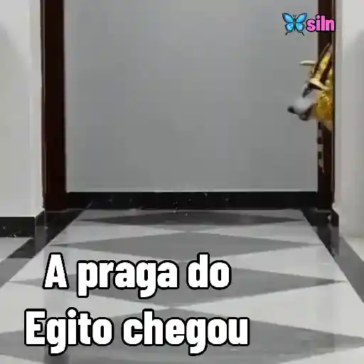 Figurinha: Cachorro Faraó