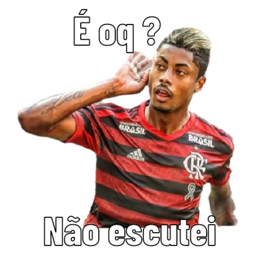 Figurinha: Flamengo - Não escutei