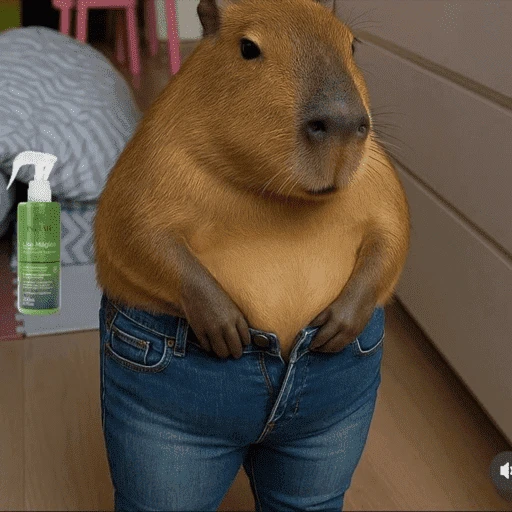Figurinha: Capivara de calça jeans apertada