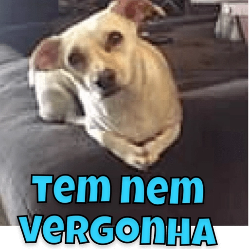 Figurinha: Cachorro sem vergonha
