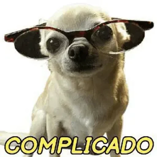 Figurinha: Cachorro com óculos "Complicado"