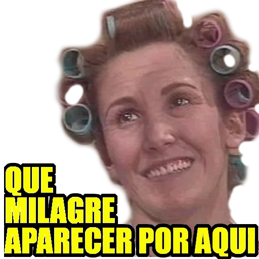Figurinha: Dona Florinda de bobs