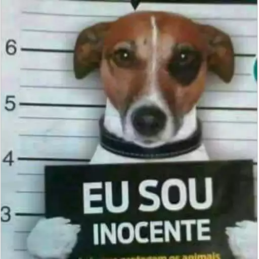 Figurinha: Cachorro diz "Eu sou inocente"