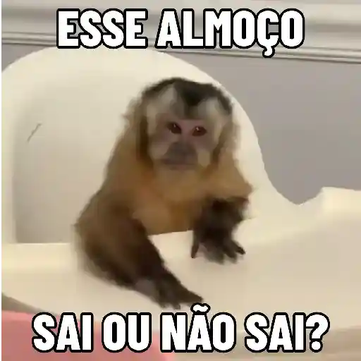 Figurinha: Macaco indeciso sobre almoço