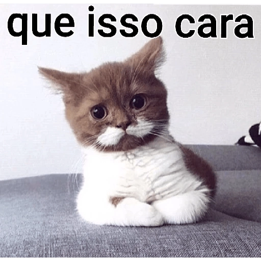 Figurinha: Que isso cara