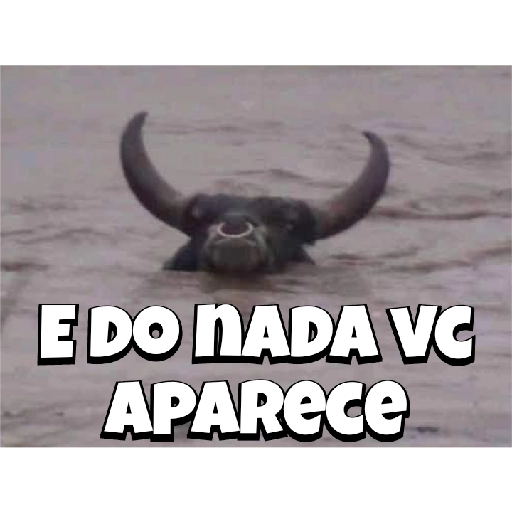 Figurinha: Touro aparece do nada