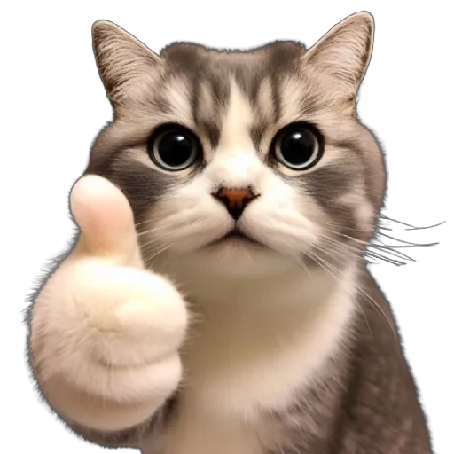 Figurinha: Gatinho fazendo joinha
