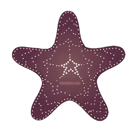 Figurinha: Estrela do Mar Pulsando Luzes