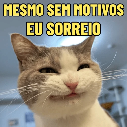 Figurinha: Gato sorrindo sem motivo