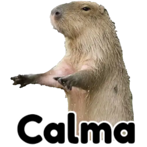 Figurinha: Capivara pedindo calma