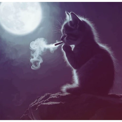 Figurinha: Gatinho sob o luar