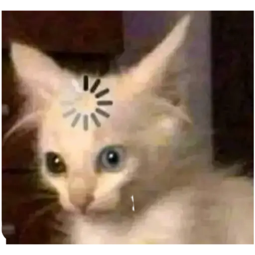 Figurinha: Gato Loading