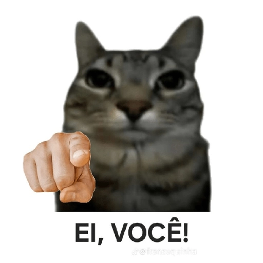 Figurinha: Gato apontando: Ei, você!