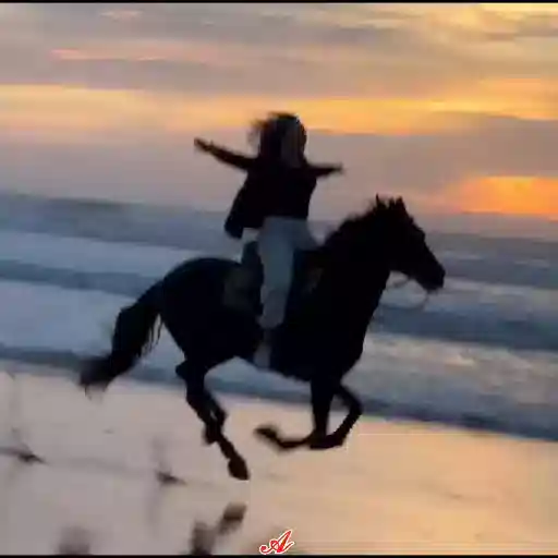 Figurinha: Cavalgada na praia ao pôr do sol