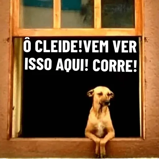 Figurinha: Cachorro chamando Cleide
