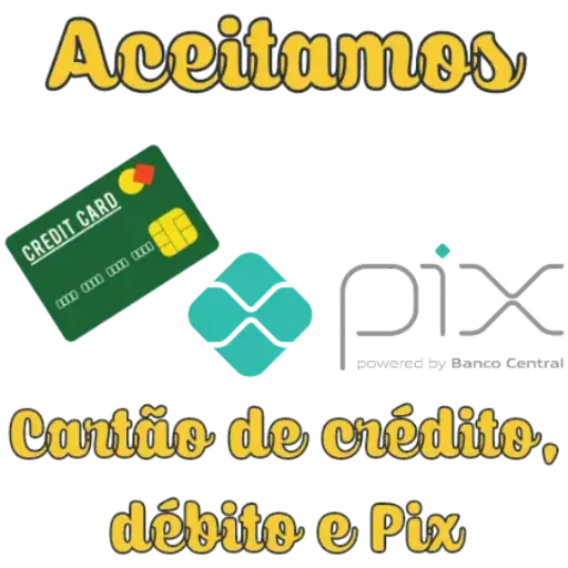 Figurinha: Aceitamos Cartão de Crédito, Débito e Pi