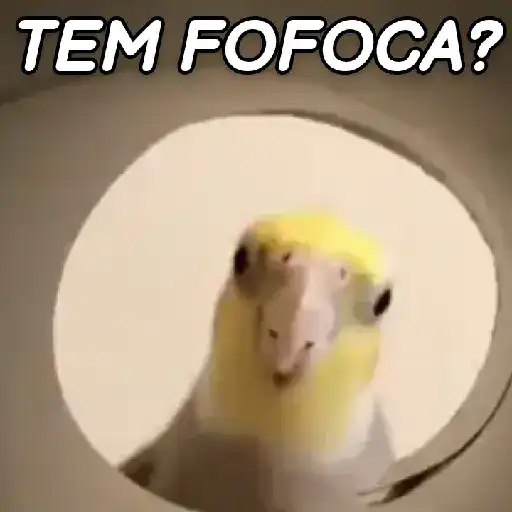 Figurinha: Tem fofoca?