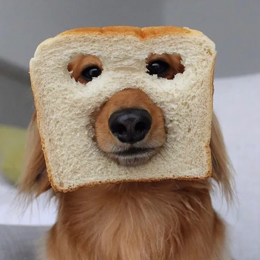 Figurinha: Cachorro com cara de pão