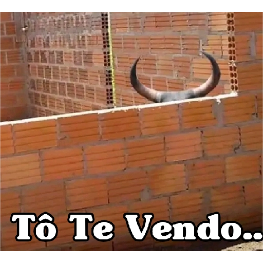 Figurinha: Touro escondido