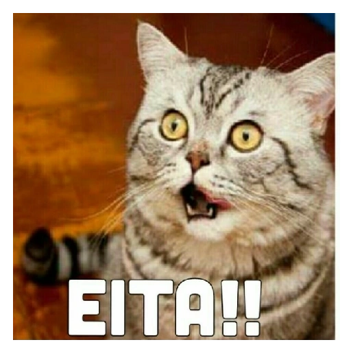 Figurinha: Gato assustado diz EITA!!