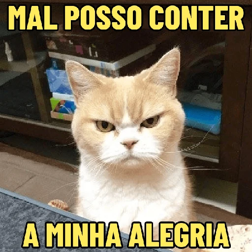 Figurinha: Gato Mal Posso Conter Minha Alegria