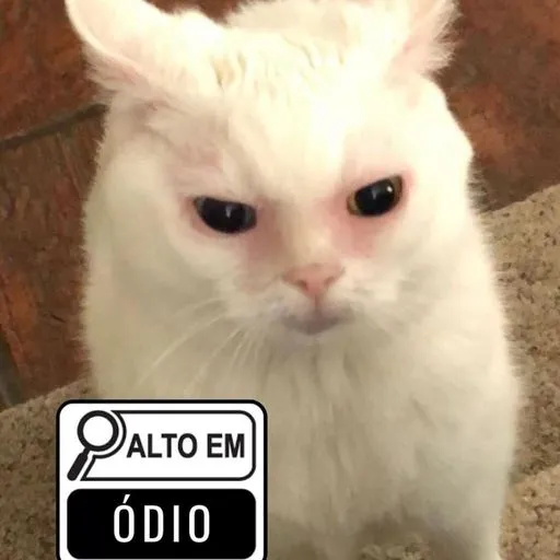 Figurinha: Gato bravo