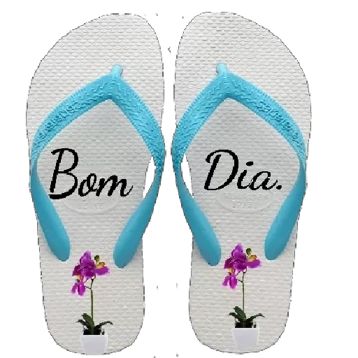 Figurinha: Bom Dia Havaianas