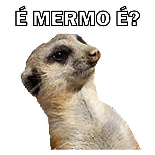 Figurinha: É mermo é?