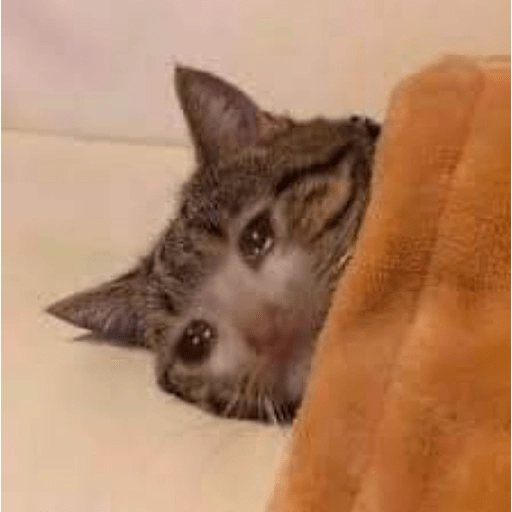 Figurinha: Gatinho triste chorando