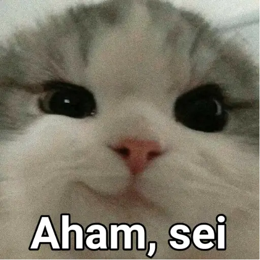 Figurinha: Gato Aham, sei