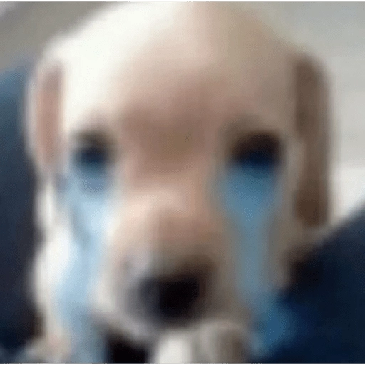 Sticker: Perrito llorando
