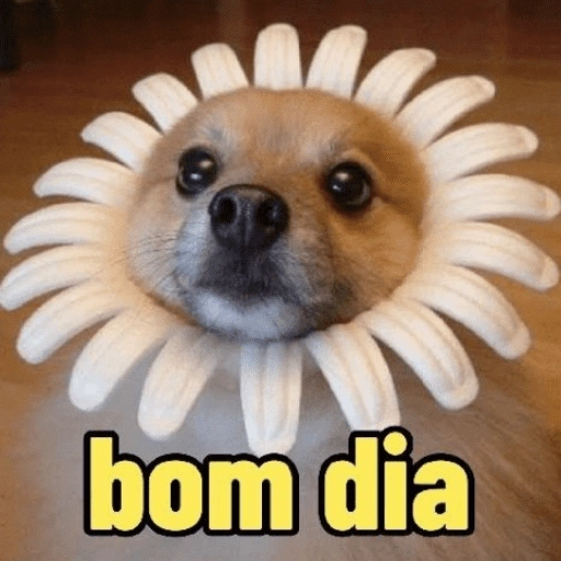 Figurinha: Cachorro flor bom dia