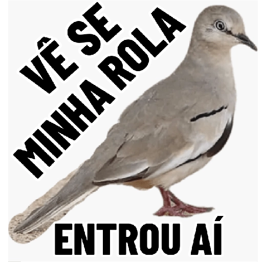 Figurinha: Pombo Vê se Minha Rola Entrou