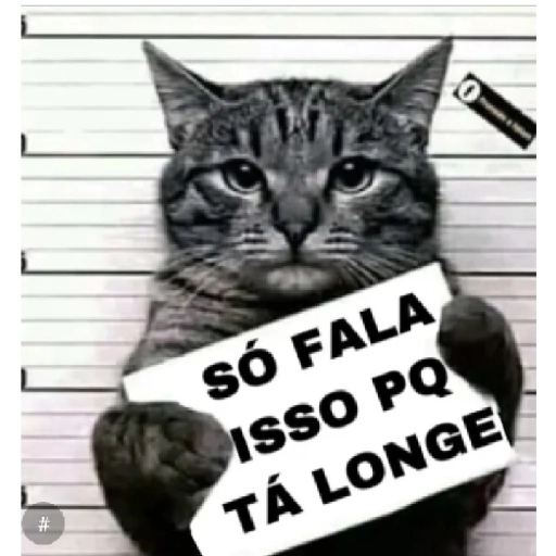Figurinha: Gato bandido