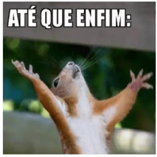 Figurinha: Até que enfim esquilo