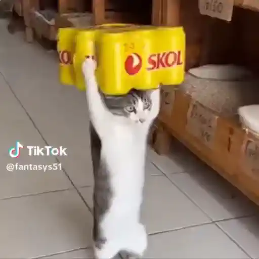 Figurinha: Gato carregando cerveja Skol