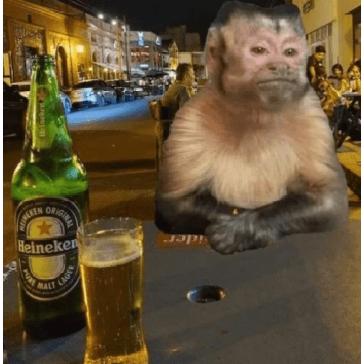 Figurinha: Macaco e Heineken