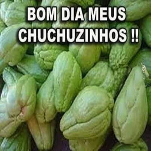 Figurinha: Bom dia meus chuchuzinhos