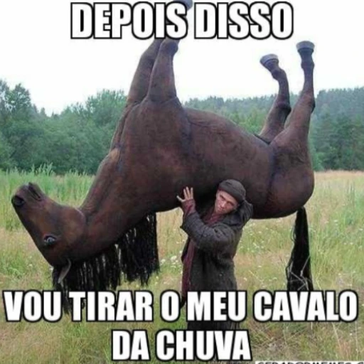 Figurinha: Tirar o cavalo da chuva