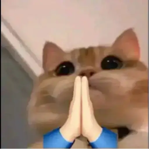 Figurinha: Gatinho Rezando