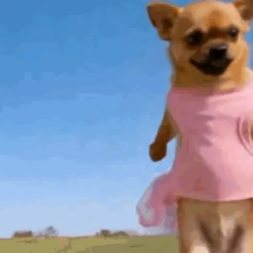 Sticker: Ballerina puppy