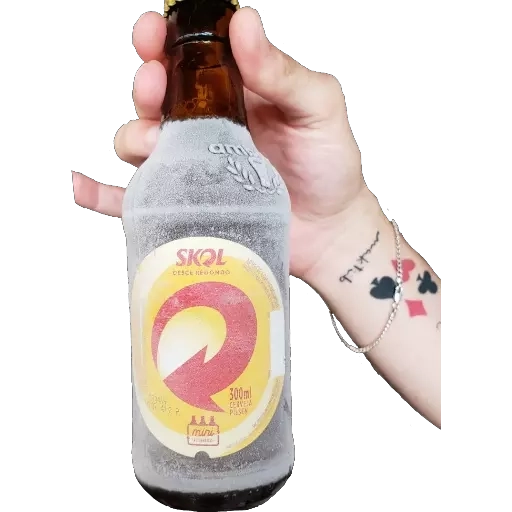 Figurinha: Cerveja Skol gelada