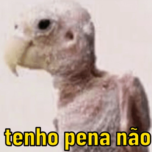Figurinha: Arara Pelada "Tenho Pena Não"