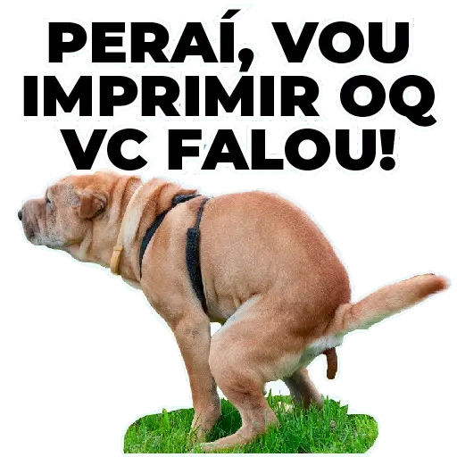 Figurinha: Espera, vou imprimir o que você falou!